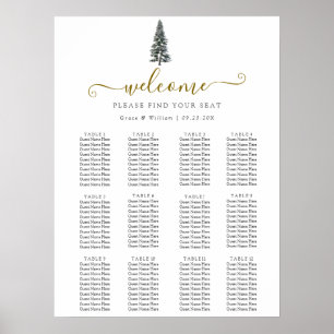 Elegant Winter Wonderland  Snowflakes wedding Poster