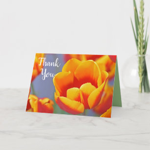 Elegant Yellow and Red Tulip Flowers Thank You Card
