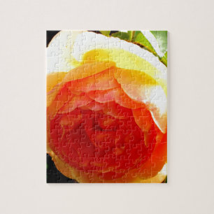 Elegant yellow peach red apricot floral rose jigsaw puzzle