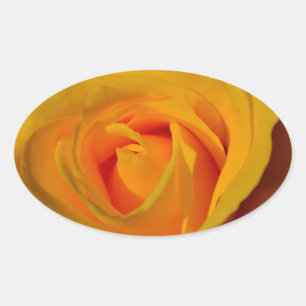 Elegant yellow rose oval sticker