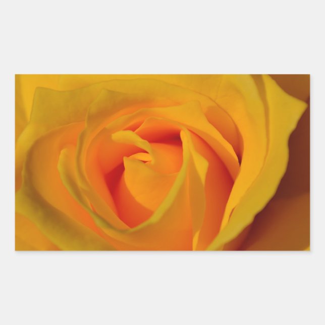 Elegant Yellow Rose photo Rectangular Sticker (Front)