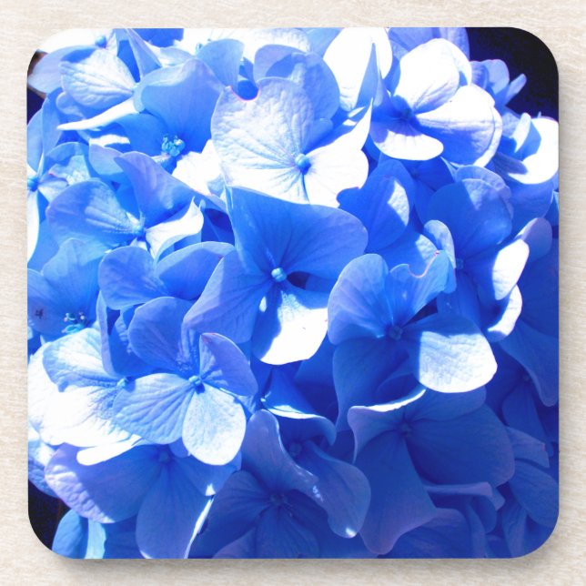 ElegantCobalt blue floral elegant hydrangeas  Coaster (Front)