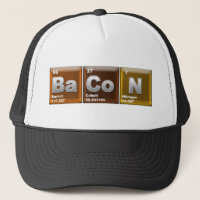 Elements of BaCoN