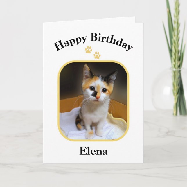 Elena Calico Kitten Happy Birthday Card (Front)