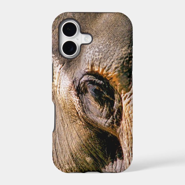 ELEPHANT (Back)