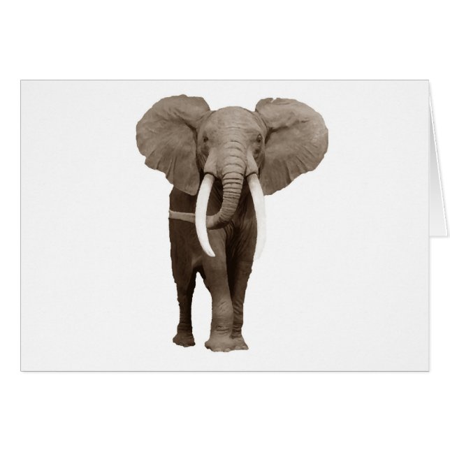 Elephant (Front Horizontal)