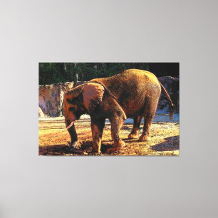 Elephant 1Design Canvas Print