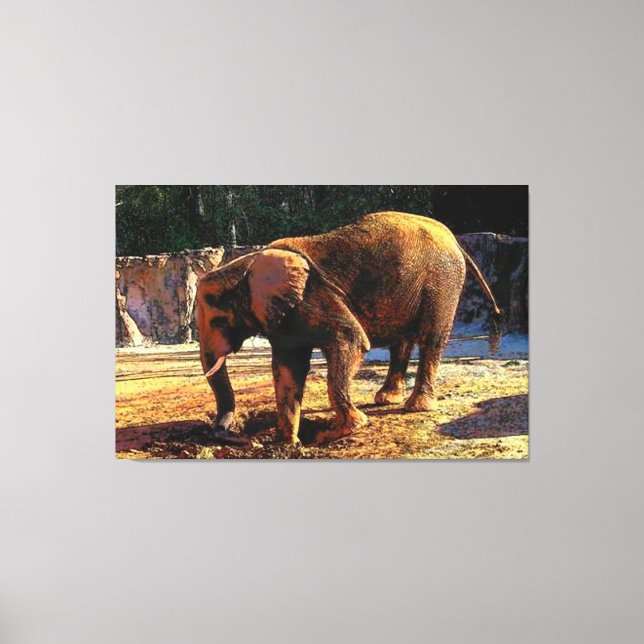 Elephant 1Design Canvas Print (Front)