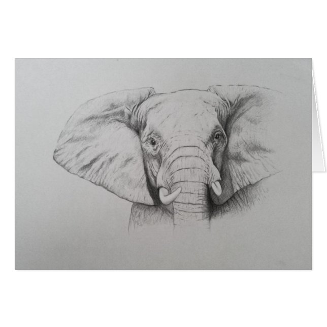 Elephant 2011 (Front Horizontal)