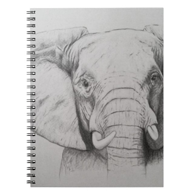 Elephant 2011 spiral notebook (Front)