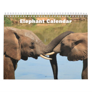 Elephant 2026  calendar