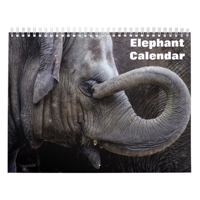 Elephant 2026  calendar (Cover)