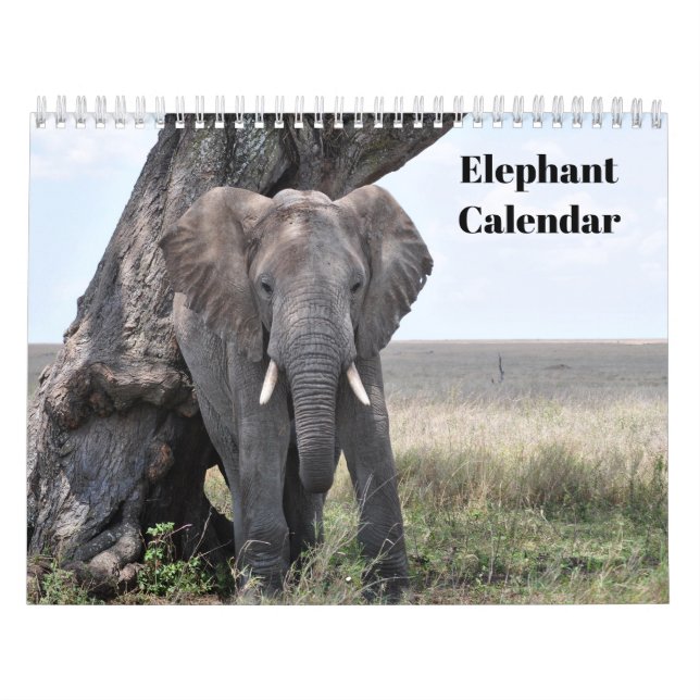 Elephant 2026  calendar (Cover)