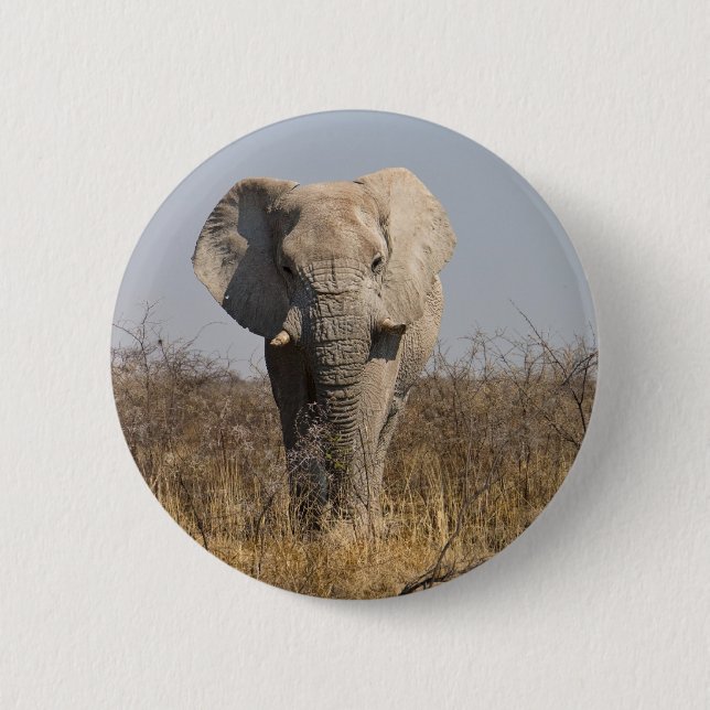 Elephant 6 Cm Round Badge (Front)