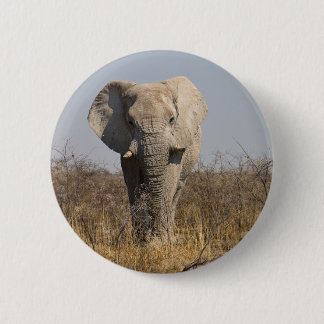 Elephant 6 Cm Round Badge