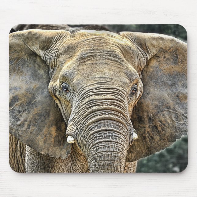 Elephant African All Ears Mouse Pad (Front)