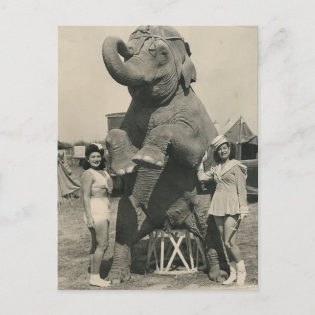 elephant and 2 girls circus postcard (Front)