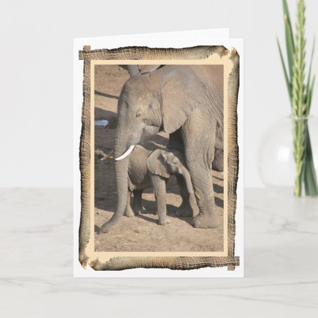 Elephant and Calf Card (Elephant Trunk Frame) (Front)