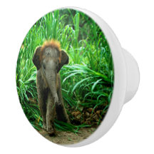 Elephant and Grass
