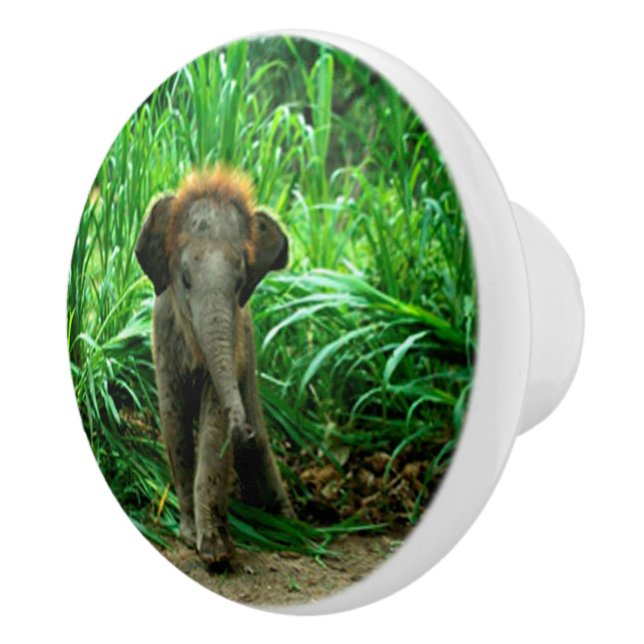 Elephant and Grass Ceramic Knob (Right)