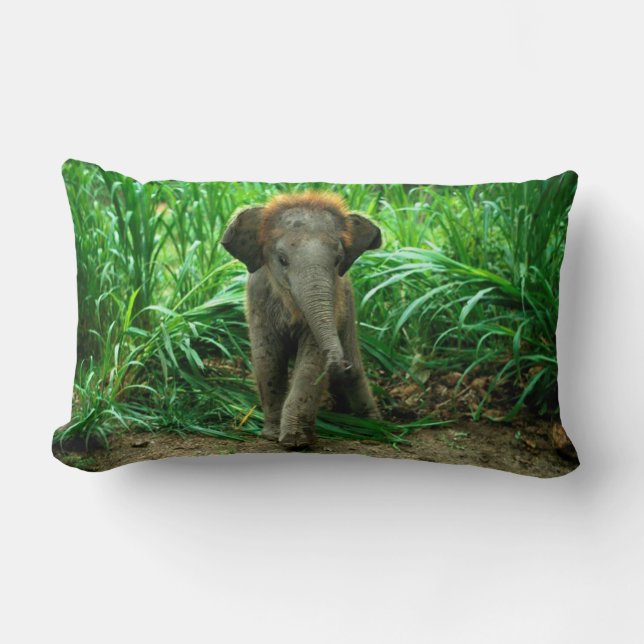 Elephant and Grass Lumbar Cushion (Front)