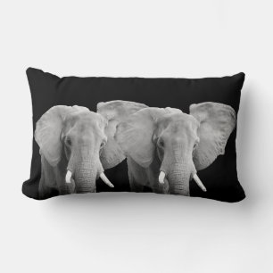 Elephant Animal Photos on Black Lumbar Cushion