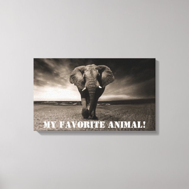 Elephant as My Favourite Animal! Canvas Print (Front)