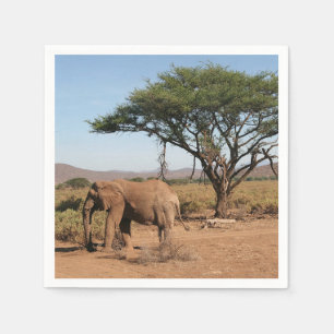 Elephant at Samburu National Reserve Napkin