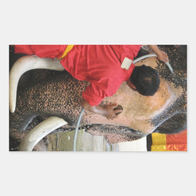 Elephant Bathtime ... Ayutthaya, Thailand Rectangular Sticker (Front)
