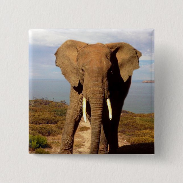 Elephant Beach Day Outing, 15 Cm Square Badge (Front)