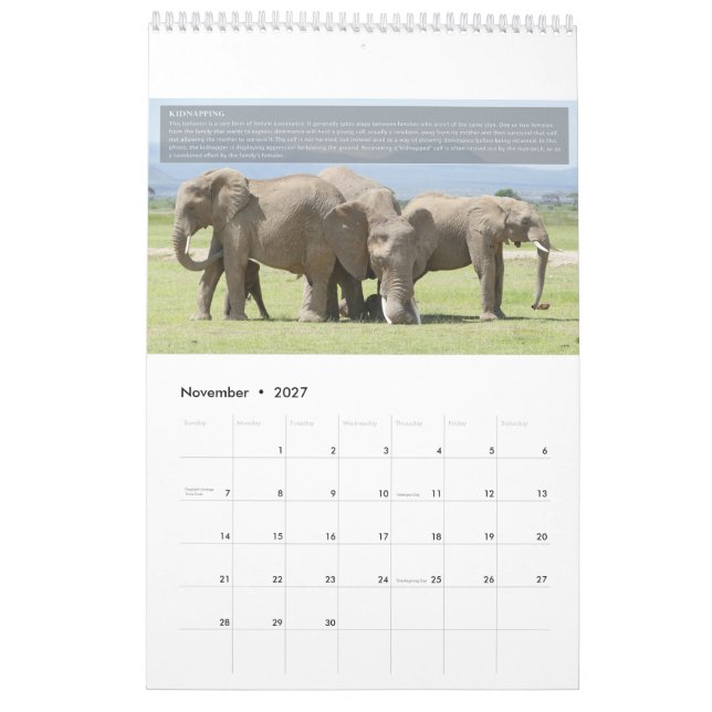 Elephant Behaviour Calendar (Nov 2027)
