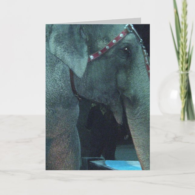 ELEPHANT BIRTHDAY card (Front)