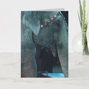 ELEPHANT BIRTHDAY card