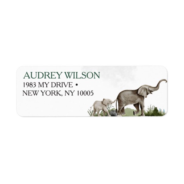 Elephant Boy Baby Shower (Front)