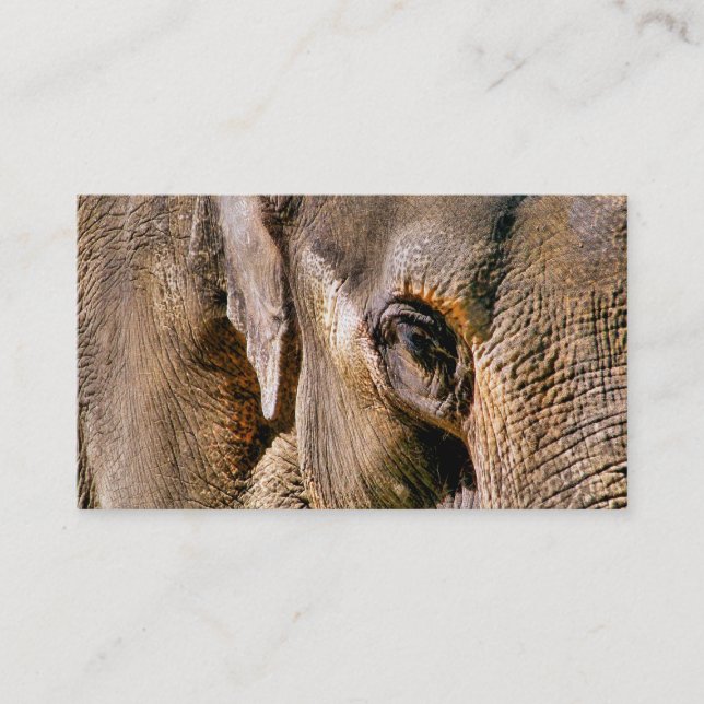 ELEPHANT BUSINESS CARD (Front)