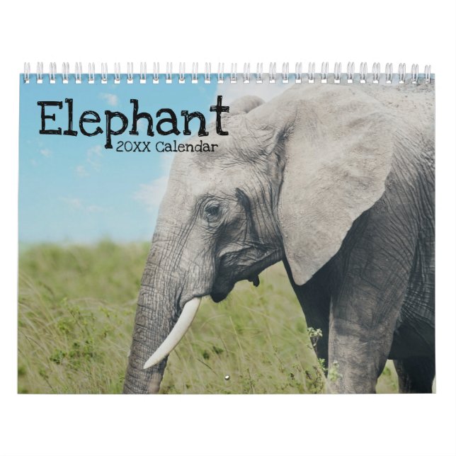 Elephant Calendar (Cover)