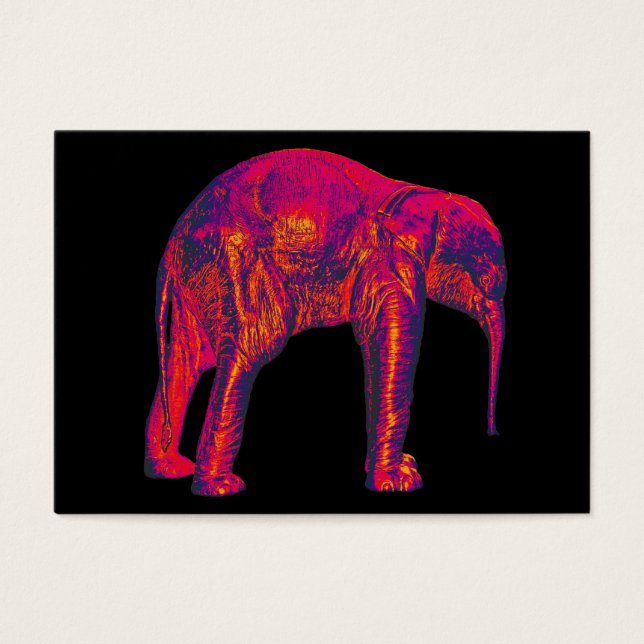 Elephant Calf, Red/Pink, Black Back (Front)