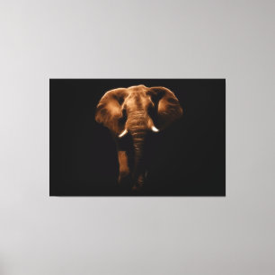 Elephant Canvas Print