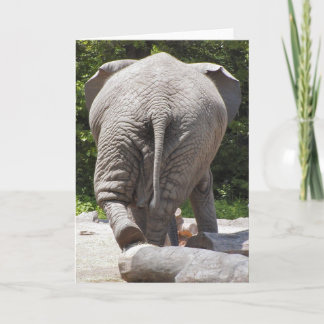 Elephant Card