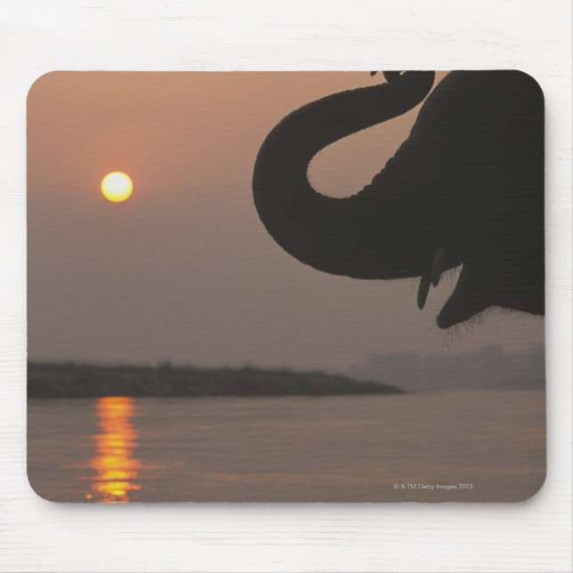 Elephant, Chitwan National Park, Nepal Mouse Pad (Front)