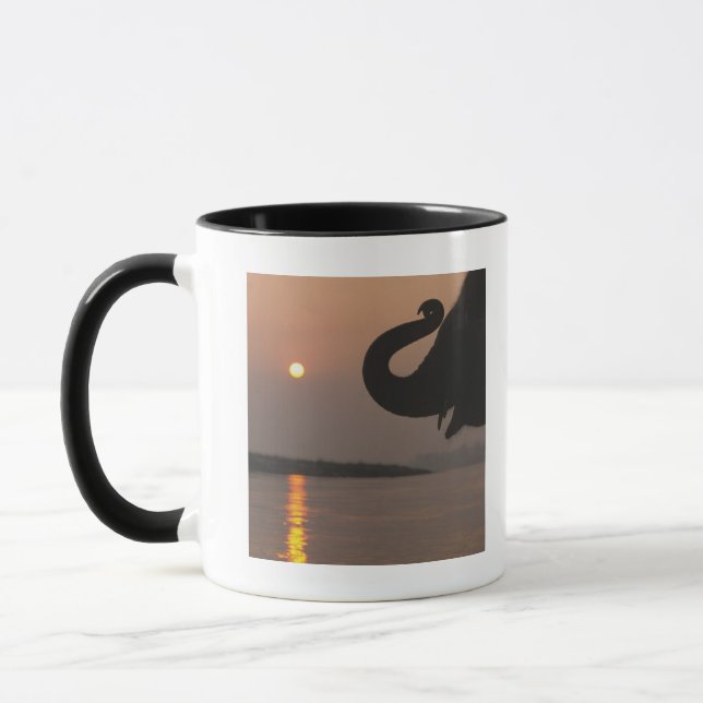 Elephant, Chitwan National Park, Nepal Mug (Left)