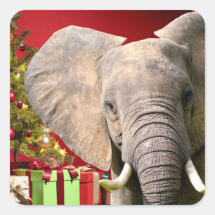 Elephant Christmas Greetings Square Sticker
