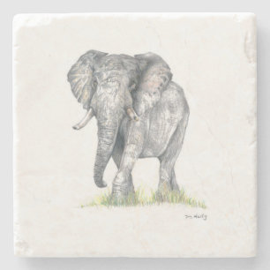 Elephant coaster