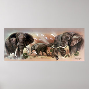 Elephant Collection Poster