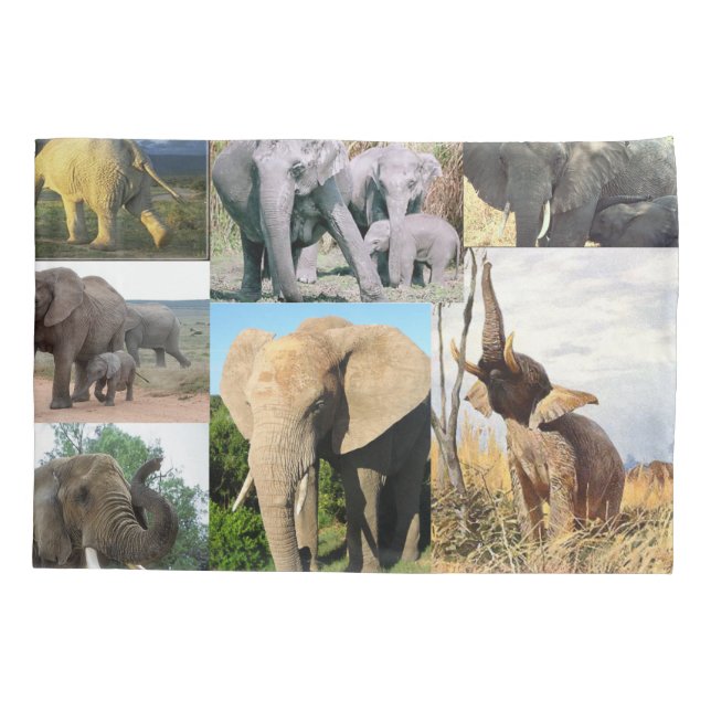 Elephant Colour Photo Pillowcase (Back)