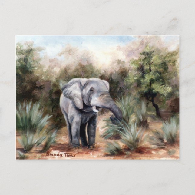 Elephant Coming Through Postcard (Front)
