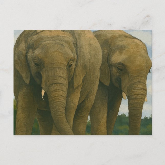 Elephant Companions in Savannah Light Postcard (Front)
