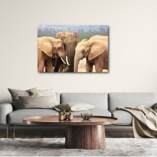 Elephant cuddle Canvas Framed