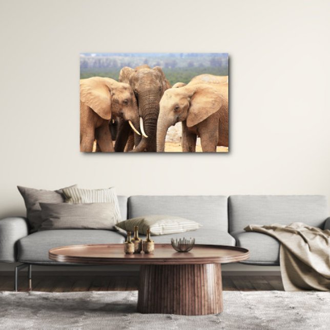Elephant cuddle Canvas Framed (Creator Uploaded)