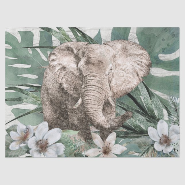 Elephant Drawing Tissue Paper (Front)